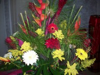 /album/galeria-de-fotos-oxum-a-deusa-das-aguas/flores-f-jpg/